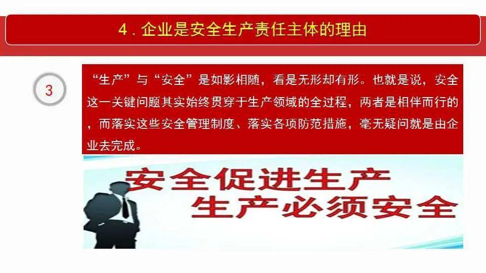 2025新澳门王中王正版，全面释义解释落实