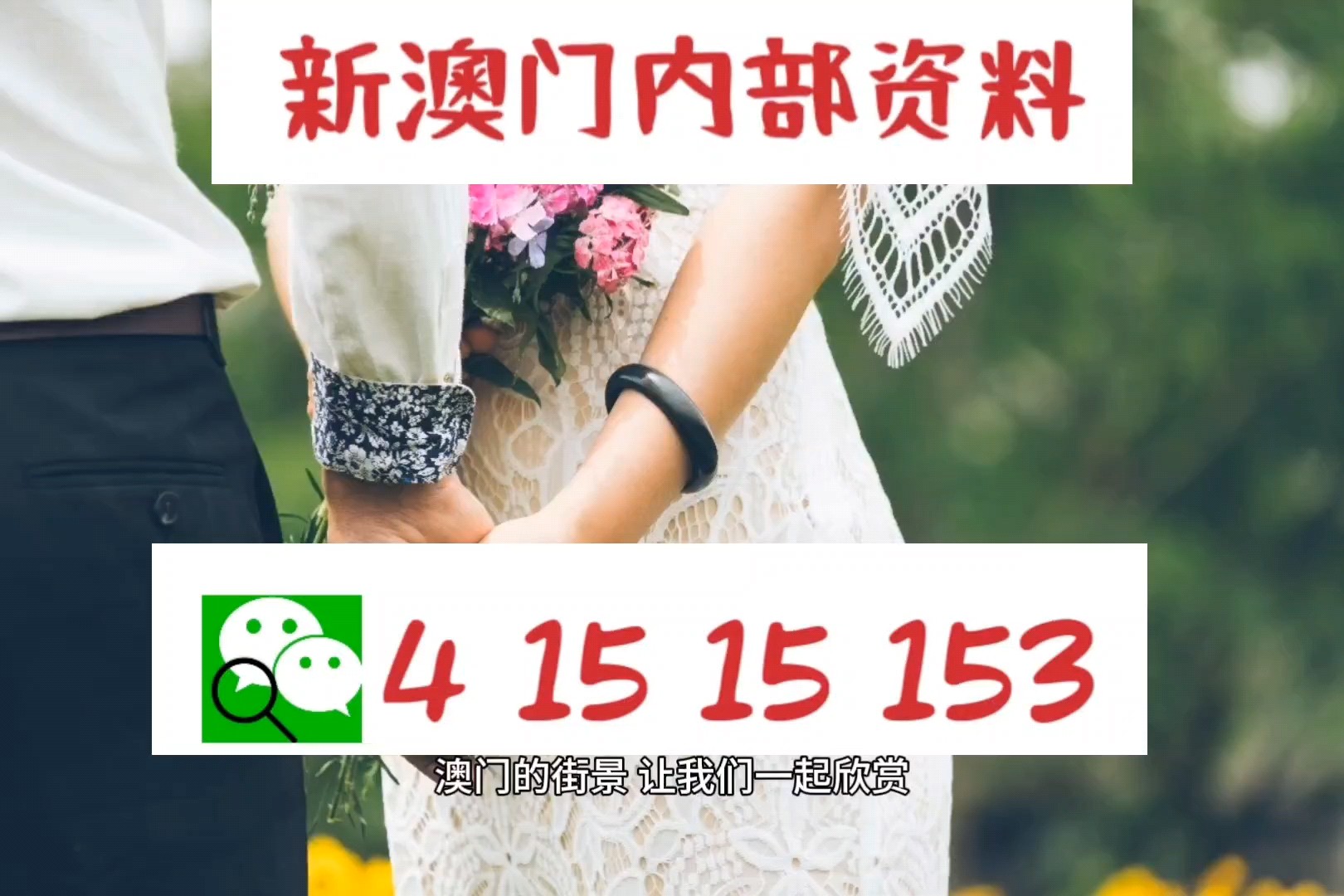 2025澳门精准资料免费提供，精选解析解释落实