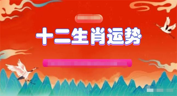 精准解析一肖一码一孑一特一中，全面释义解释落实