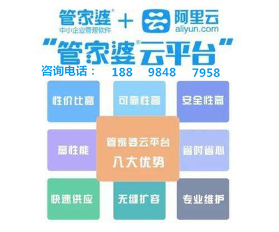 2025澳门管家婆100%精准，词语释义与实际应用的深度解析