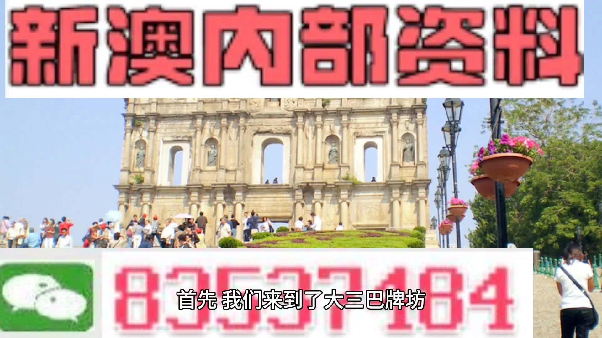 新澳三期必出一肖，全面释义解释落实