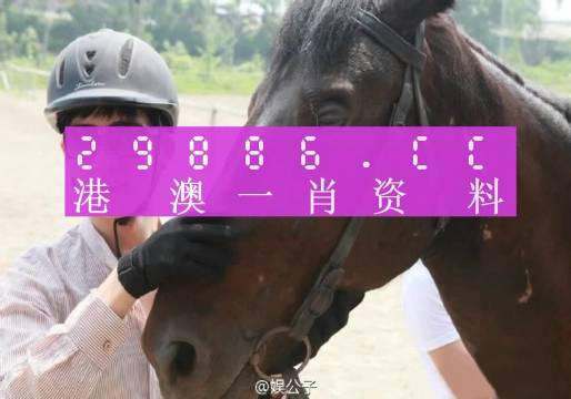 澳门一肖一码一特一中挂，词语释义与现实应用