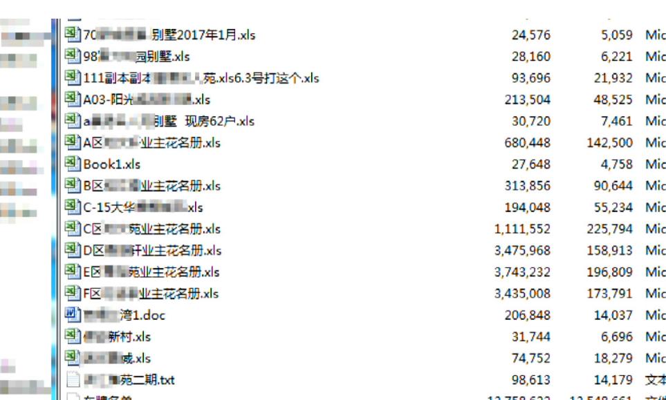 精准一肖一码一子一中，全面释义解释落实