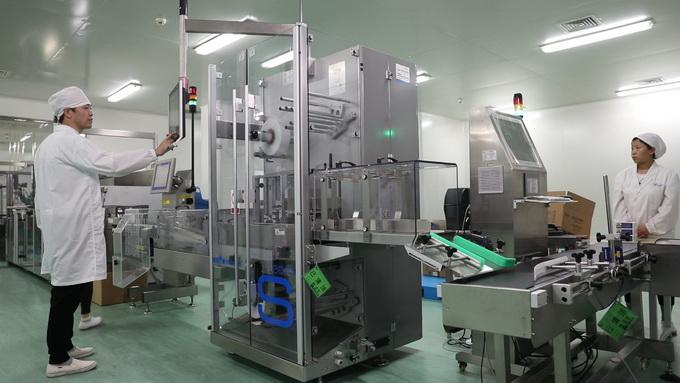 2025全年正版资料免费资料公开，词语释义解释落实