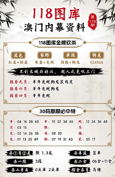 今晚特马免费公开资料，词语释义解释落实