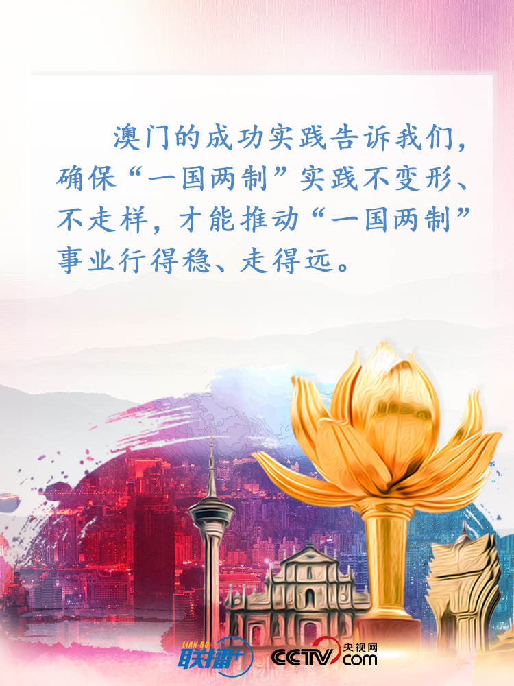 新澳门精准正最精准，词语释义解释落实