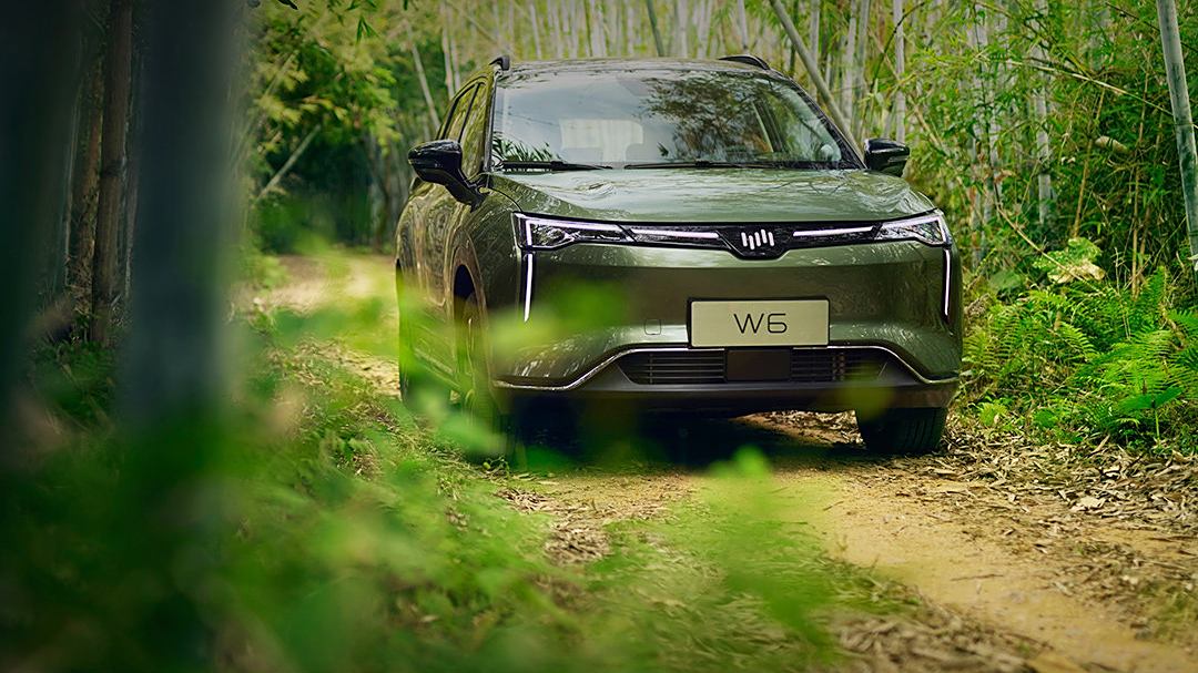 威马W6