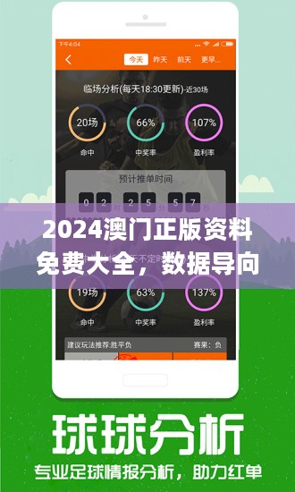 2025新澳门精准正版免费男人味详细解答、解释与落实