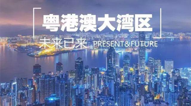 2025年新澳门和香港天天免费精准大全,全面释义、解释与落实