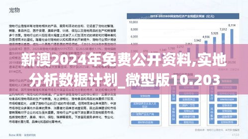 2025新澳精准正版免費資料,详细解答解释落实_的警惕虚假宣传